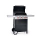 Gratar pe Gaz Campingaz 3 Series RBS® L 2000015654