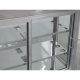 Vitrina frigorifica Tecfrigo LINUS 100, capacitate 100 l, temperatura +4/+10º C, argintiu