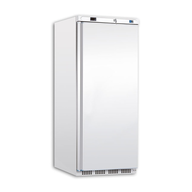 Congelator bauturi Tecfrigo PL 401 NT, capacitate 351 L, temperatura -10/-25 ºC, alb