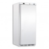 Congelator bauturi Tecfrigo PL 401 NT, capacitate 351 L, temperatura -10/-25 ºC, alb