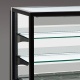 Vitrina frigorifica Tecfrigo KARINA 67 Q-SS-P, capacitate 255l, temperatura +6/+9 ºC, negru