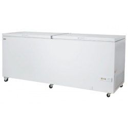 Lada frigorifica Klimaitalia FR 600 PS K, capacitate 607 l, temperatura -18 / -24°C, alb