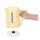 Cana Fierbator BESTRON AWK300EVV, Putere: 2200w